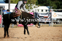 BraidwoodRodeo2016_1278