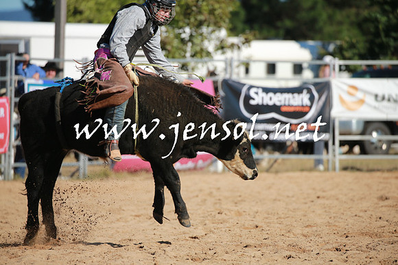 BraidwoodRodeo2016_1278
