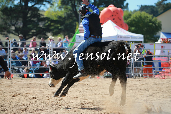 BraidwoodRodeo2016_2345
