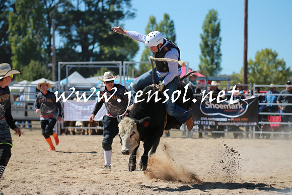 BraidwoodRodeo2016_2330