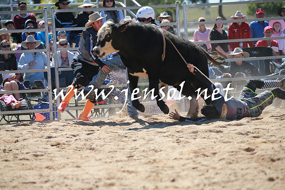 BraidwoodRodeo2016_2307