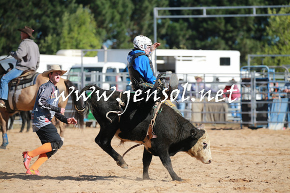 BraidwoodRodeo2016_1365