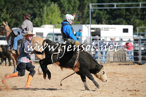 BraidwoodRodeo2016_1366