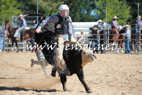 BraidwoodRodeo2016_1707