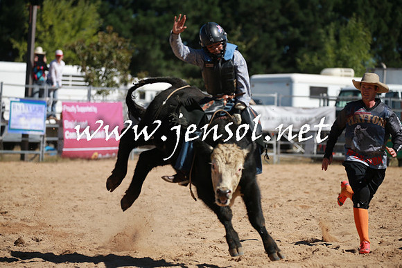 BraidwoodRodeo2016_2185