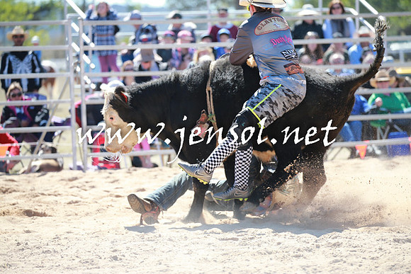 BraidwoodRodeo2016_2265