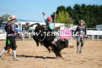 BraidwoodRodeo2016_1293