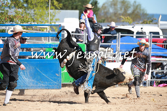 BraidwoodRodeo2016_1708