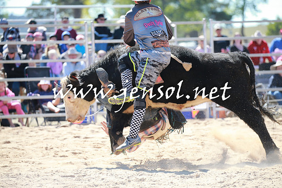BraidwoodRodeo2016_2272