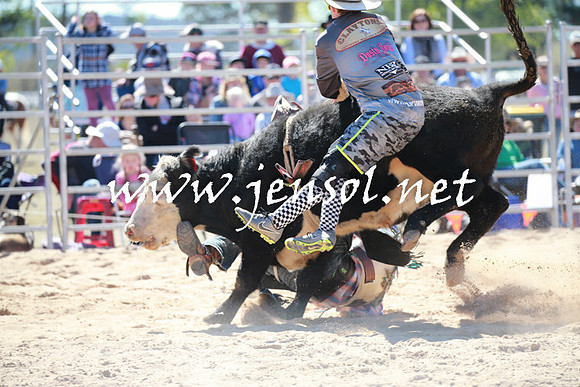 BraidwoodRodeo2016_2264