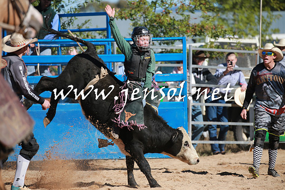 BraidwoodRodeo2016_1723