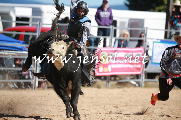 BraidwoodRodeo2016_2175