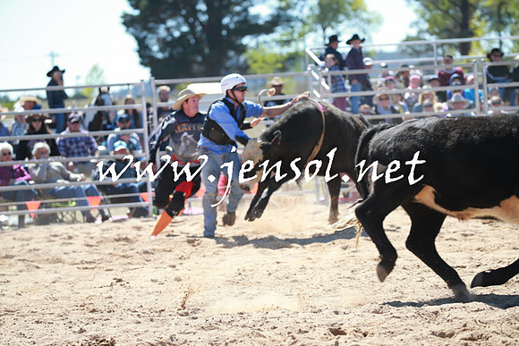 BraidwoodRodeo2016_2320