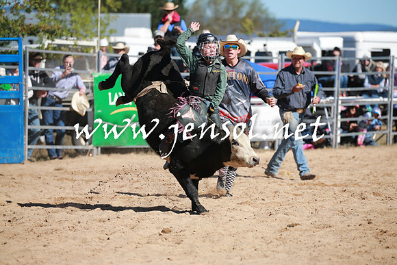 BraidwoodRodeo2016_1750