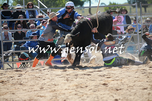 BraidwoodRodeo2016_2315