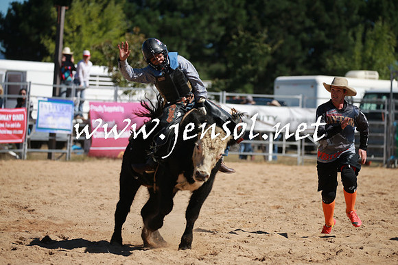 BraidwoodRodeo2016_2182