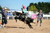 BraidwoodRodeo2016_1296