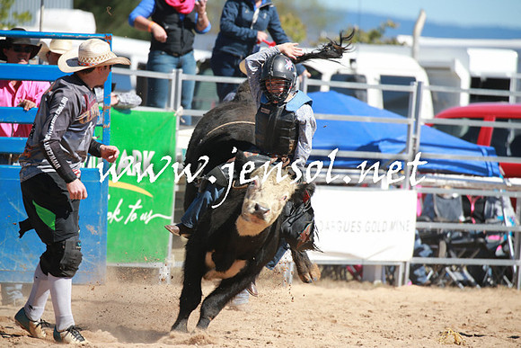BraidwoodRodeo2016_2172