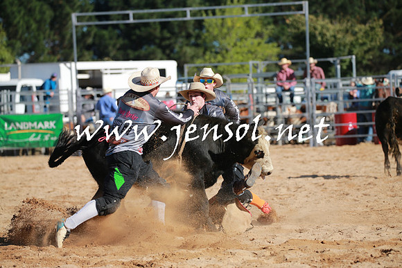 BraidwoodRodeo2016_1347