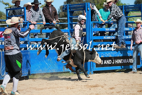 BraidwoodRodeo2016_2102