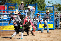 BraidwoodRodeo2016_1331