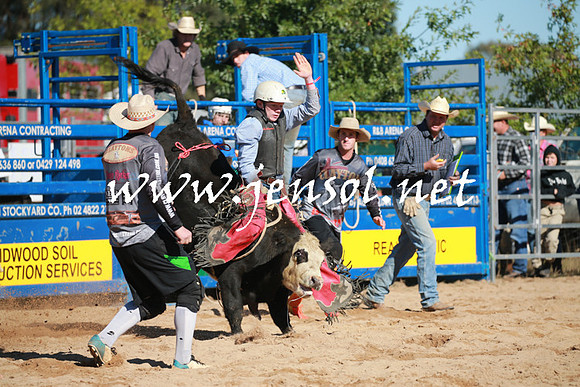 BraidwoodRodeo2016_1329