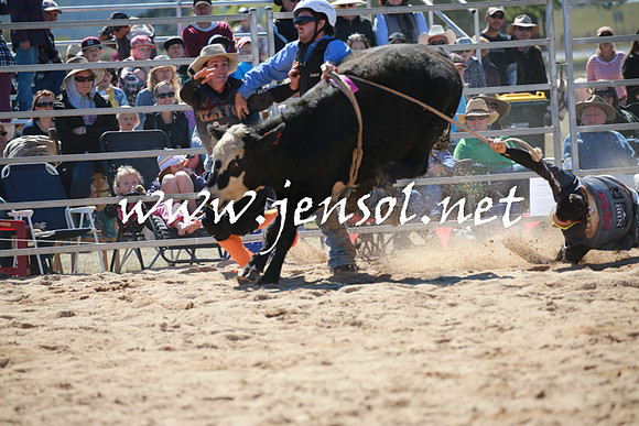 BraidwoodRodeo2016_2325