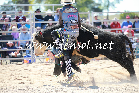 BraidwoodRodeo2016_2268