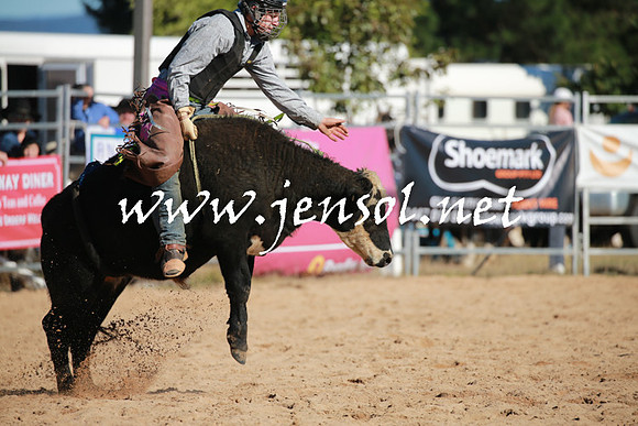 BraidwoodRodeo2016_1279