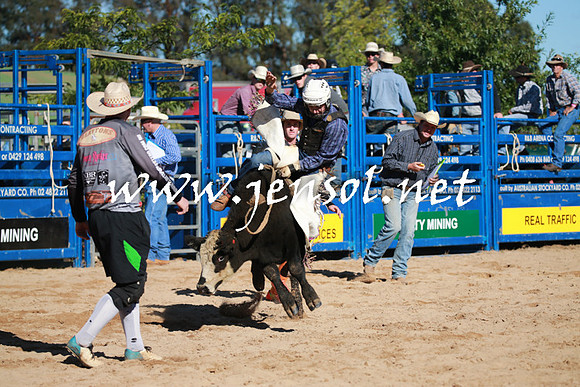 BraidwoodRodeo2016_1252