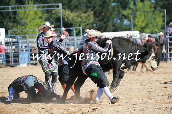 BraidwoodRodeo2016_1359