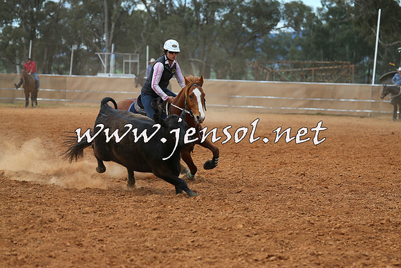 IllaboCampdraft2015_1119