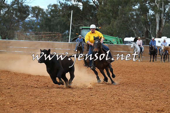 IllaboCampdraft2015_1117