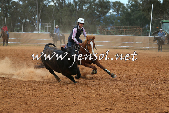 IllaboCampdraft2015_1121