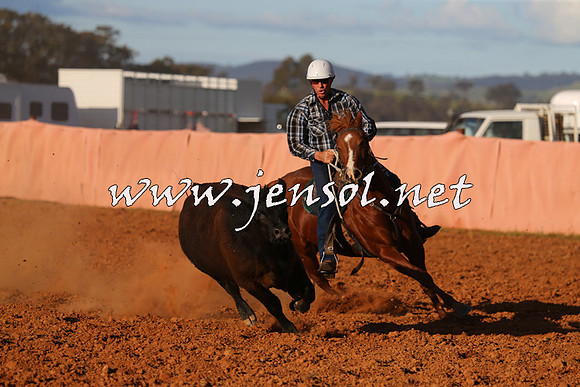 IllaboCampdraft2015_1470