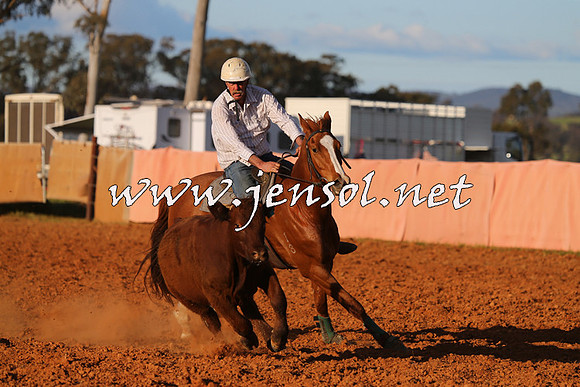 IllaboCampdraft2015_1500