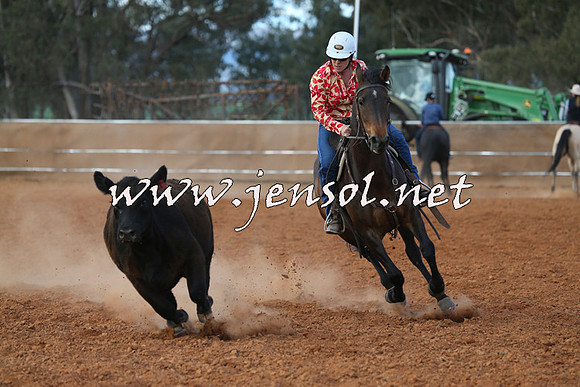 IllaboCampdraft2015_1346