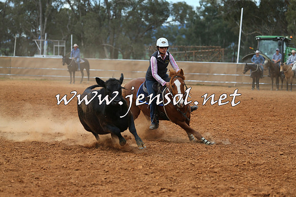IllaboCampdraft2015_1122