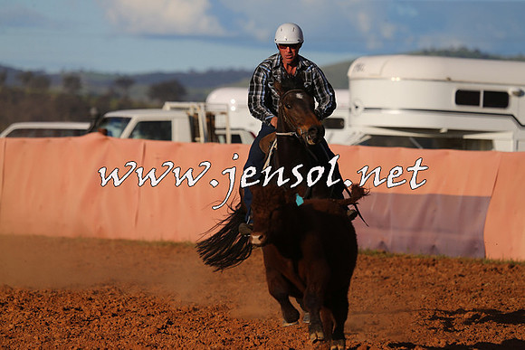 IllaboCampdraft2015_1502