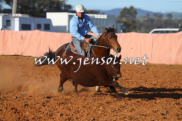 IllaboCampdraft2015_1455