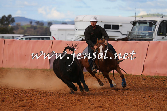 IllaboCampdraft2015_1243