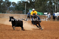 IllaboCampdraft2015_1115