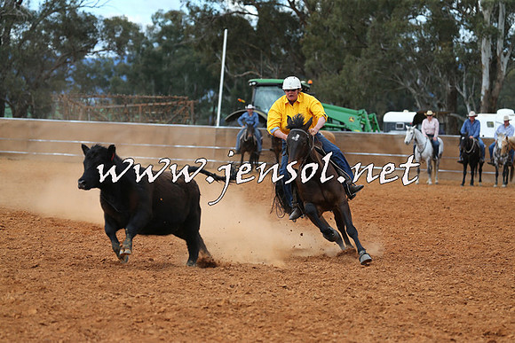 IllaboCampdraft2015_1115