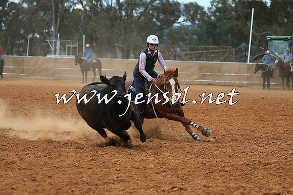 IllaboCampdraft2015_1120