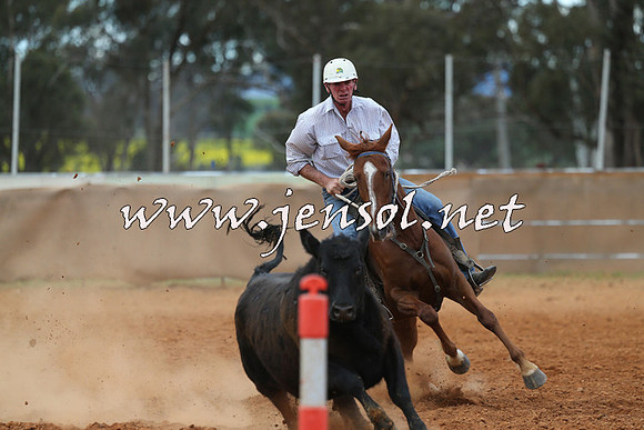 IllaboCampdraft2015_1154