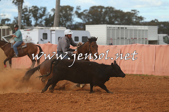 IllaboCampdraft2015_1265