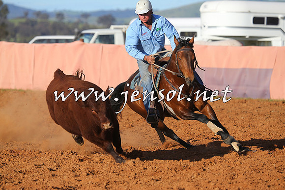 IllaboCampdraft2015_1445