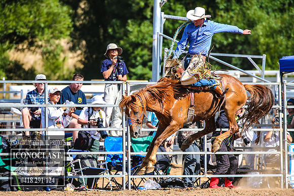 TaralgaRodeo2018_6757