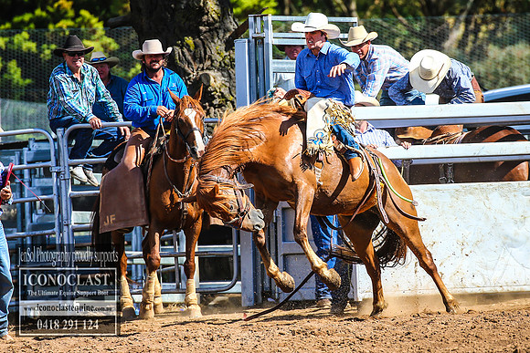 TaralgaRodeo2018_6719
