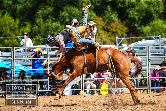 TaralgaRodeo2018_5755